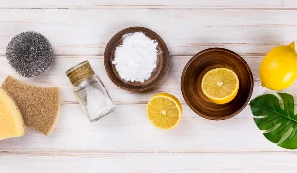 House eco cleaners salt and halves of lemon