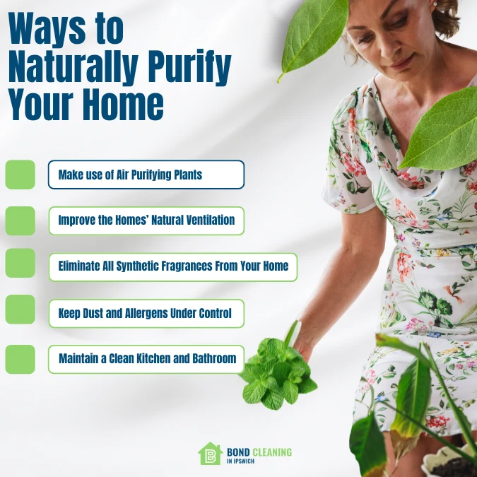 Ways to Naturally Purify Your Home