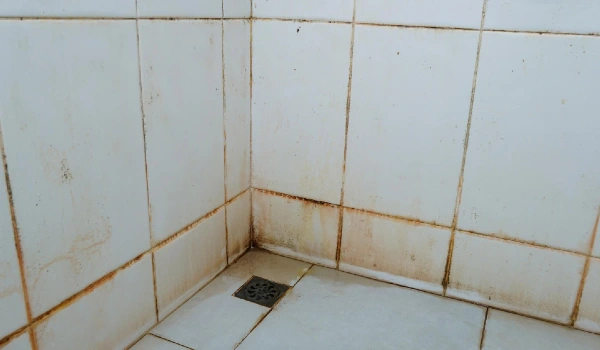 Dirt bathroom floor, stains on the walls, and corners of bathroom tiles white
