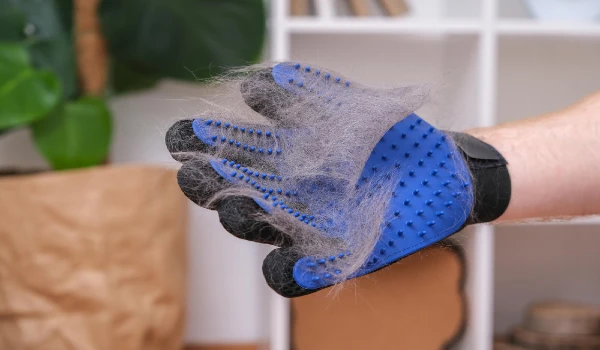 a person wearing glove and cleaning cobwebs