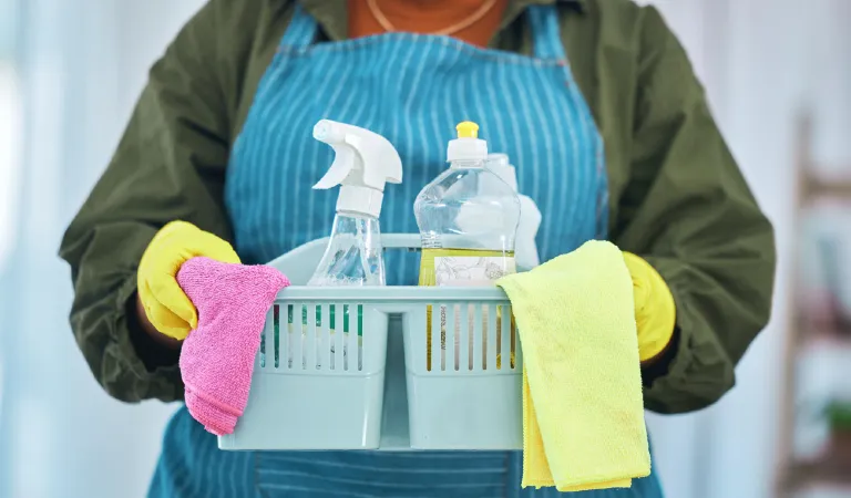 Cleaning basket with chemical detergent and cloth cleaner person